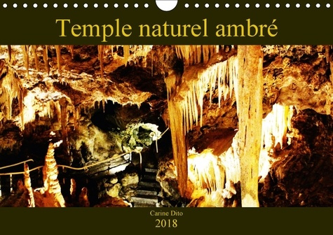 Emprunter TEMPLE NATUREL AMBRE CALENDRIER MURAL 2018 DIN A4 HORIZONTAL - PHOTOGRAPHIES D UNE CAVITE SOU livre