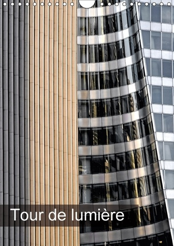 Emprunter TOUR DE LUMIERE CALENDRIER MURAL 2018 DIN A4 VERTICAL - REFLETS ET LUMIERE SUR LES TOU livre