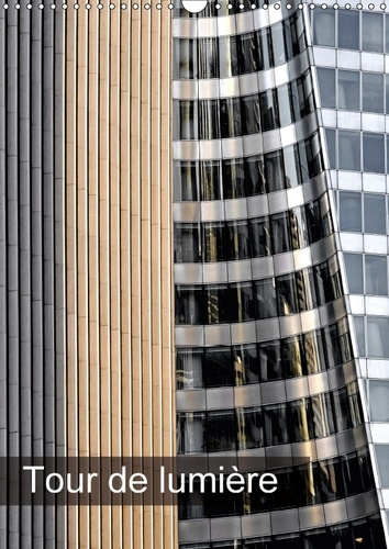 Emprunter TOUR DE LUMIERE CALENDRIER MURAL 2018 DIN A3 VERTICAL - REFLETS ET LUMIERE SUR LES TOU livre