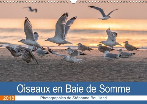 Emprunter OISEAUX EN BAIE DE SOMME (CALENDRIER MURAL 2018 DIN A3 HORIZONTAL) - LES OISEAUX DE LA BAIE DE SOMME livre