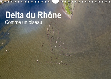 Emprunter DELTA DU RHONE COMME UN OISEAU CALENDRIER MURAL 2018 DIN A4 - PHOTO AERIENNE CAMARGUE CALEND livre