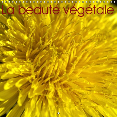 Emprunter LA BEAUTE VEGETALE (CALENDRIER MURAL 2019 300 * 300 MM SQUARE) - LA NATURE EST BELLE, PRESERVONS-LA. livre