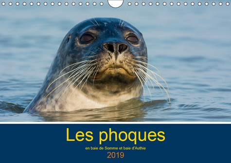 Emprunter LES PHOQUES EN BAIE DE SOMME ET BAIE D'AUTHIE (CALENDRIER MURAL 2019 DIN A4 HORIZONTAL) - LES PHOQUE livre