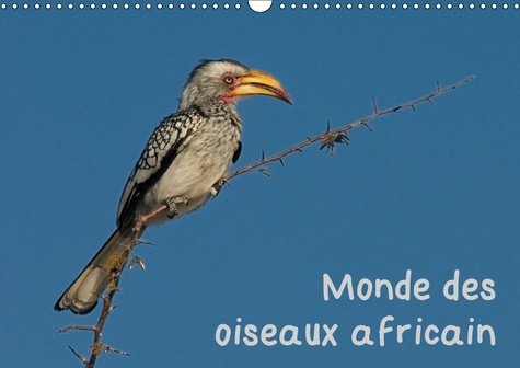 Emprunter MONDE DES OISEAUX AFRICAIN (CALENDRIER MURAL 2019 DIN A3 HORIZONTAL) - DES PORTRAITS D'OISEAU FASCIN livre