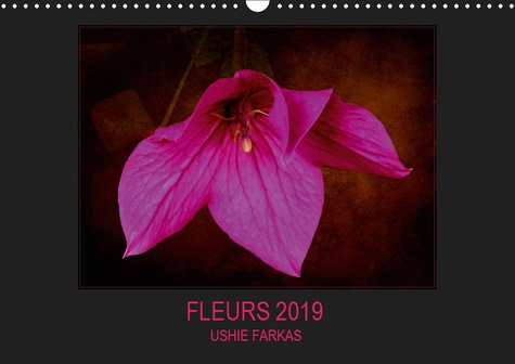 Emprunter FLEURS 2019 ( FR - VERSION ) (CALENDRIER MURAL 2019 DIN A3 HORIZONTAL) - FLEURS AVEC TEXTURE (CALEND livre