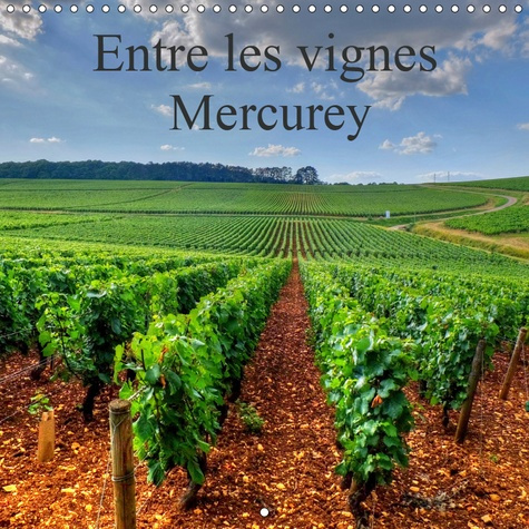 Emprunter ENTRE LES VIGNES MERCUREY (CALENDRIER MURAL 2019 300 * 300 MM SQUARE) - VIGNOBLE DE MERCUREY EN PLEI livre