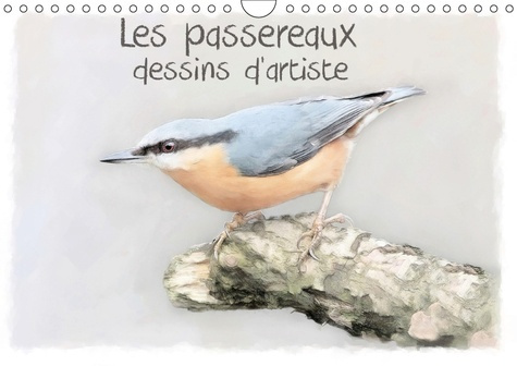 Emprunter LES PASSEREAUX DESSINS D'ARTISTE (CALENDRIER MURAL 2019 DIN A4 HORIZONTAL) - SERIE DE 12 PORTRAITS D livre