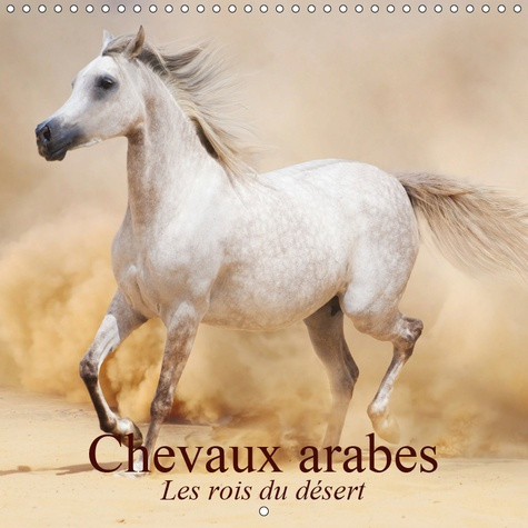 Emprunter CHEVAUX ARABES LES ROIS DU DESERT (CALENDRIER MURAL 2019 300 * 300 MM SQUARE) - DES CREATURES LEGE livre