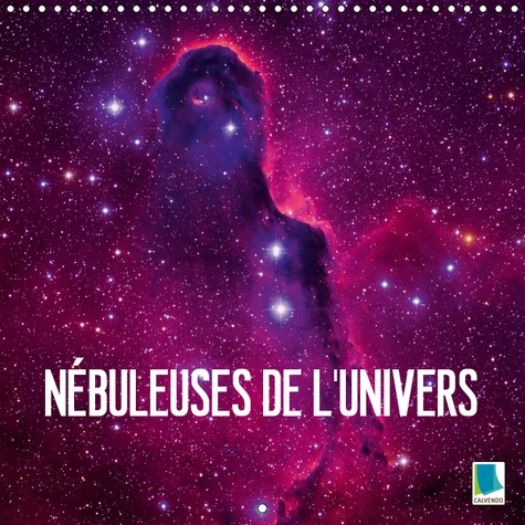 Emprunter NEBULEUSES DE L'UNIVERS (CALENDRIER MURAL 2019 300 * 300 MM SQUARE) - FASCINATION ASTRONOMIE - NEBUL livre