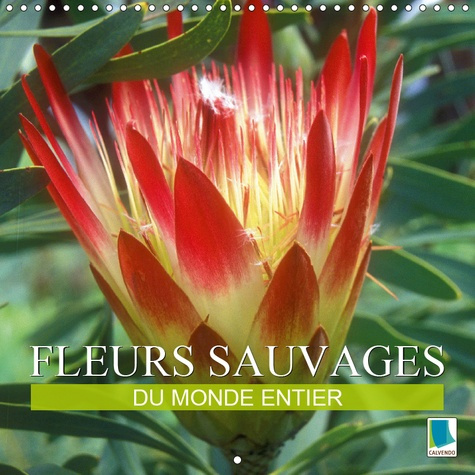 Emprunter FLEURS SAUVAGES DU MONDE ENTIER (CALENDRIER MURAL 2019 300 * 300 MM SQUARE) - LES PARENTES SAUVAGES livre