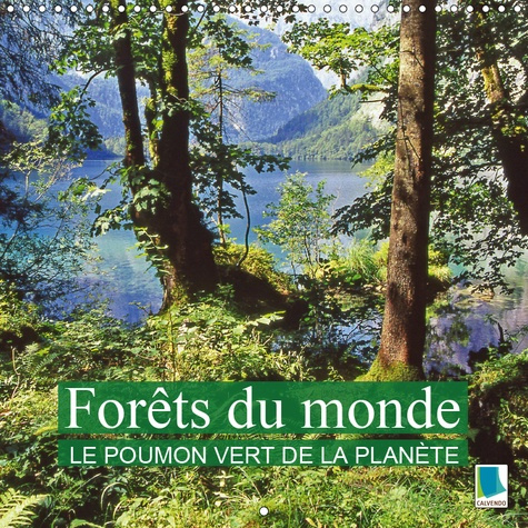Emprunter FORETS DU MONDE - LE POUMON VERT DE LA PLANETE (CALENDRIER MURAL 2019 300 * 300 MM SQUARE) - LA FORE livre