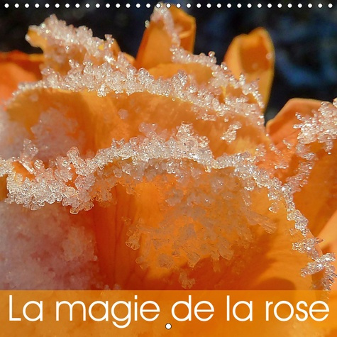 Emprunter LA MAGIE DE LA ROSE (CALENDRIER MURAL 2019 300 * 300 MM SQUARE) - DE MAGNIFIQUES ROSES LUMINEUSES, D livre