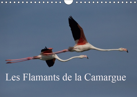 Emprunter LES FLAMANTS DE LA CAMARGUE (CALENDRIER MURAL 2019 DIN A4 HORIZONTAL) - SCENES DE LA VIE D'UNE ESPEC livre