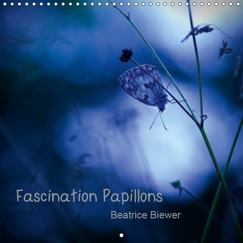 Emprunter FASCINATION PAPILLONS (CALENDRIER MURAL 2019 300 * 300 MM SQUARE) - LE MONDE FASCINANT DES PAPILLONS livre