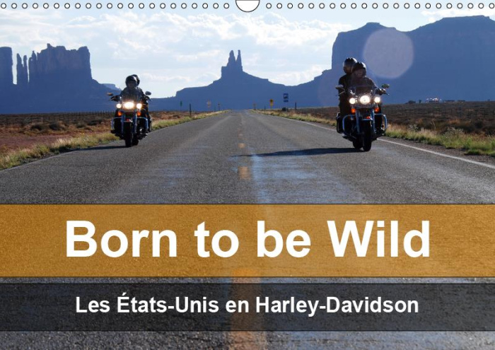 Emprunter BORN TO BE WILD - LES ETATS-UNIS EN HARLEY-DAVIDSON (CALENDRIER MURAL 2019 DIN A3 HORIZONTAL) - LES livre