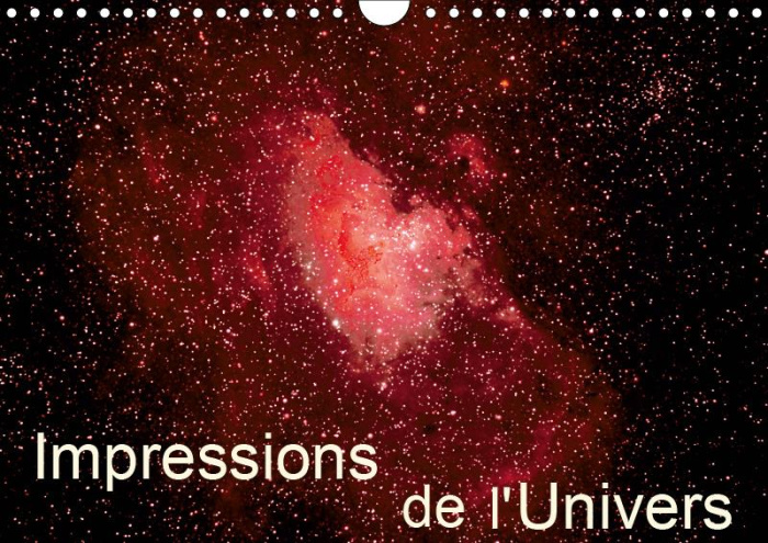Emprunter IMPRESSIONS DE L'UNIVERS (CALENDRIER MURAL 2019 DIN A4 HORIZONTAL) - PHOTOS D'ETOILES, DE GALAXIES E livre