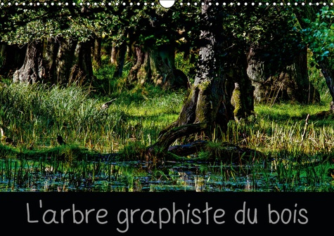 Emprunter L'ARBRE GRAPHISTE DU BOIS (CALENDRIER MURAL 2019 DIN A3 HORIZONTAL) - L'ARBRE EST LE GRAPHISTE DE LA livre