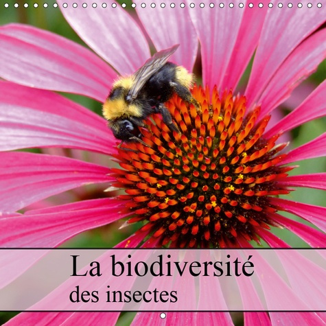 Emprunter LA BIODIVERSITE DES INSECTES (CALENDRIER MURAL 2019 300 * 300 MM SQUARE) - PLAN SERRE D'INSECTES DE livre