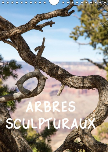 Emprunter ARBRES SCULPTURAUX (CALENDRIER MURAL 2019 DIN A4 VERTICAL) - L'ARBRE, COMME SCULPTURE, DANS DES PAYS livre