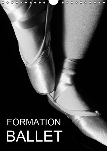 Emprunter FORMATION BALLET (CALENDRIER MURAL 2019 DIN A4 VERTICAL) - PHOTOS DE COURS DE BALLET ET DE CHAUSSONS livre