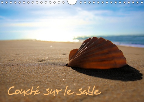 Emprunter COUCHE SUR LE SABLE (CALENDRIER MURAL 2019 DIN A4 HORIZONTAL) - DECOUVERTE DES TRESORS DE BORD DE ME livre