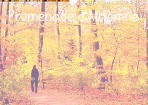 Emprunter PROMENADE D'AUTOMNE (CALENDRIER MURAL 2019 DIN A4 HORIZONTAL) - UNE PROMENADE HAUTE EN COULEURS ET P livre