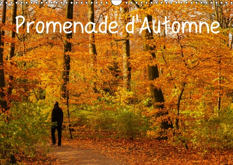 Emprunter PROMENADE D'AUTOMNE (CALENDRIER MURAL 2019 DIN A3 HORIZONTAL) - UNE PROMENADE HAUTE EN COULEURS ET P livre
