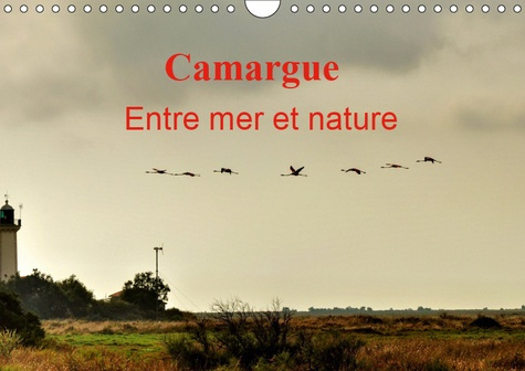 Emprunter CAMARGUE ENTRE MER ET NATURE (CALENDRIER MURAL 2019 DIN A4 HORIZONTAL) - AU COEUR DE LA CAMARGUE, EN livre