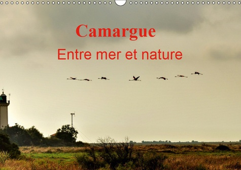 Emprunter CAMARGUE ENTRE MER ET NATURE (CALENDRIER MURAL 2019 DIN A3 HORIZONTAL) - AU COEUR DE LA CAMARGUE, EN livre