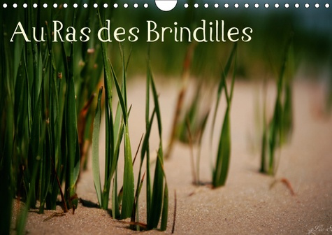 Emprunter AU RAS DES BRINDILLES (CALENDRIER MURAL 2019 DIN A4 HORIZONTAL) - L'OBJECTIF AU MILIEU DES HERBES (C livre