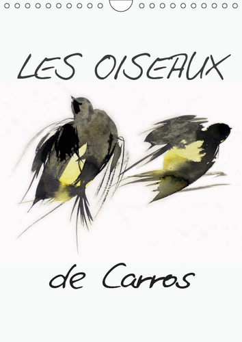 Emprunter LES OISEAUX DE CARROS (CALENDRIER MURAL 2019 DIN A4 VERTICAL) - OISEAUX, AQUARELLES (CALENDRIER MENS livre