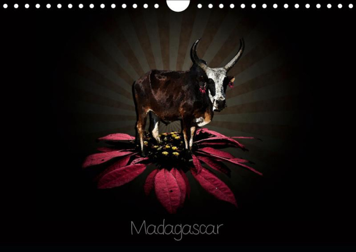 Emprunter MADAGASCAR (CALENDRIER MURAL 2019 DIN A4 HORIZONTAL) - PHOTOGRAPHIES DE MADAGASCAR (CALENDRIER MENSU livre