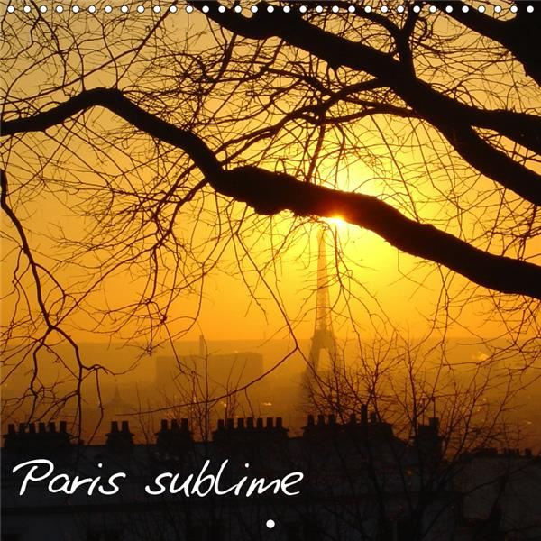 Emprunter PARIS SUBLIME (CALENDRIER MURAL 2019 300 * 300 MM SQUARE) - CALENDRIER AVEC DES PHOTOS SUBLIMES DE P livre