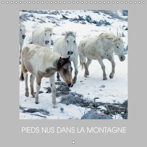 Emprunter PIEDS NUS DANS LA MONTAGNE (CALENDRIER MURAL 2019 300 * 300 MM SQUARE) - DES CHEVAUX EN LIBERTE (CAL livre