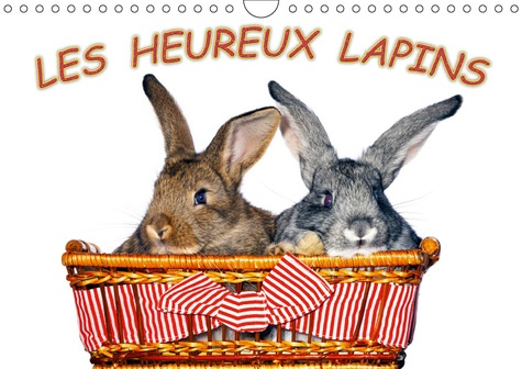 Emprunter LES HEUREUX LAPINS (CALENDRIER MURAL 2019 DIN A4 HORIZONTAL) - DES LAPINS DEVANT L'APPAREIL PHOTO. N livre