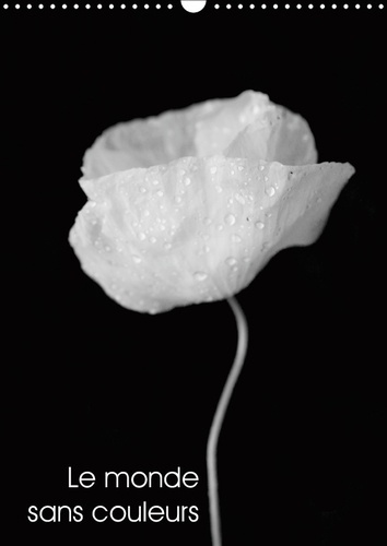 Emprunter LE MONDE SANS COULEURS (CALENDRIER MURAL 2019 DIN A3 VERTICAL) - UNE BELLE COLLECTION DE PHOTOS MONO livre