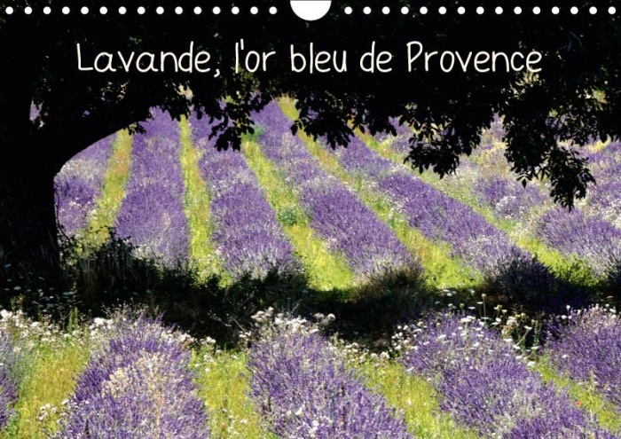 Emprunter LAVANDE, L'OR BLEU DE PROVENCE (CALENDRIER MURAL 2019 DIN A4 HORIZONTAL) - LA LAVANDE, SYMBOLE DE LA livre