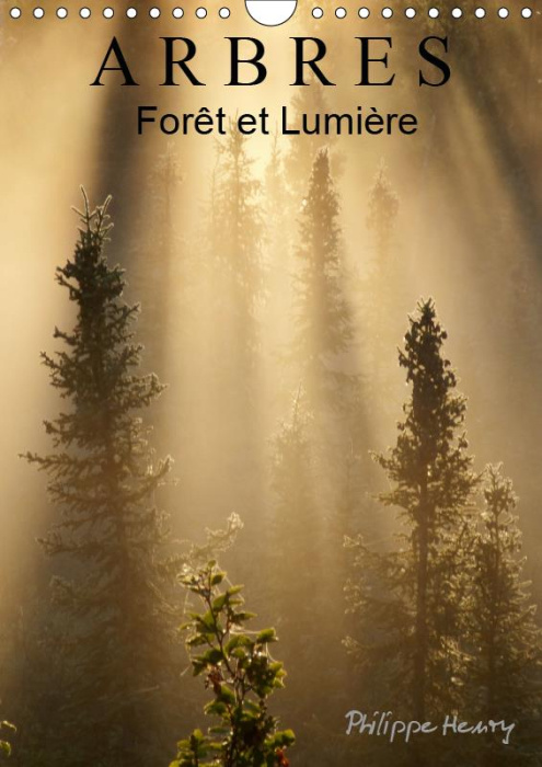 Emprunter ARBRES. FORET ET LUMIERE (CALENDRIER MURAL 2019 DIN A4 VERTICAL) - DES ARBRES DANS TOUTE LEUR BEAUTE livre