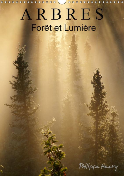 Emprunter ARBRES. FORET ET LUMIERE (CALENDRIER MURAL 2019 DIN A3 VERTICAL) - DES ARBRES DANS TOUTE LEUR BEAUTE livre