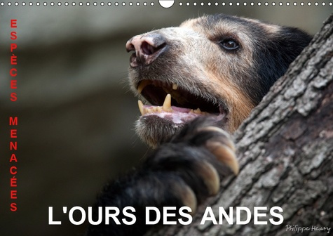 Emprunter L'OURS DES ANDES. ESPECES MENACEES (CALENDRIER MURAL 2019 DIN A3 HORIZONTAL) - SUR LA PISTE DE L'OUR livre