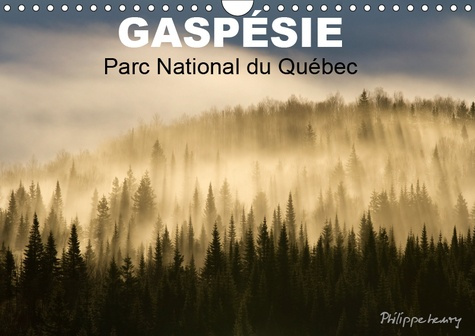 Emprunter GASPESIE. PARC NATIONAL DU QUEBEC (CALENDRIER MURAL 2019 DIN A4 HORIZONTAL) - PAYSAGES DU PARC NATIO livre
