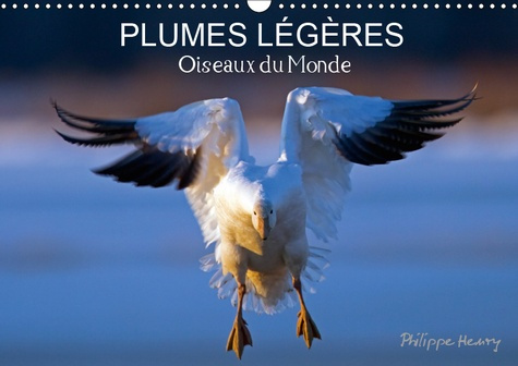 Emprunter PLUMES LEGERES. OISEAUX DU MONDE (CALENDRIER MURAL 2019 DIN A3 HORIZONTAL) - TREIZE PHOTOS D'OISEAUX livre