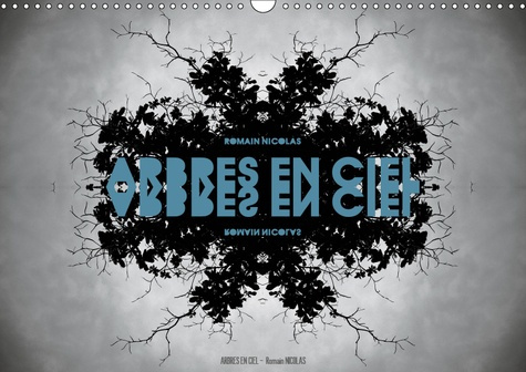 Emprunter ARBRES EN CIEL (CALENDRIER MURAL 2019 DIN A3 HORIZONTAL) - UNE SERIE QUI PERMET A CHACUN DE VOIR CE livre