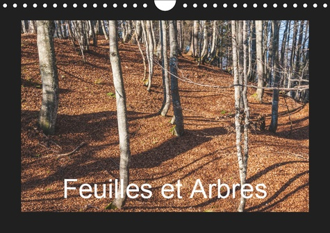 Emprunter FEUILLES ET ARBRES (CALENDRIER MURAL 2019 DIN A4 HORIZONTAL) - CAPTIVE PAR LES SAISONS (CALENDRIER M livre