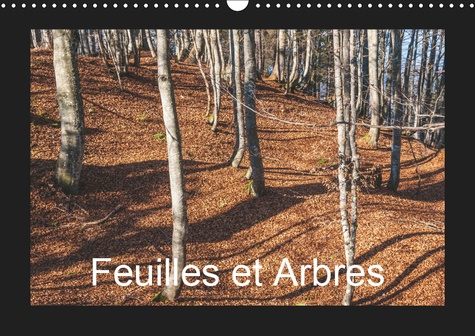 Emprunter FEUILLES ET ARBRES (CALENDRIER MURAL 2019 DIN A3 HORIZONTAL) - CAPTIVE PAR LES SAISONS (CALENDRIER M livre