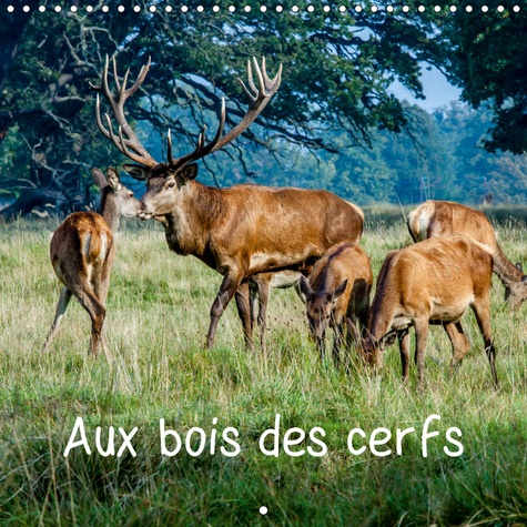 Emprunter AUX BOIS DES CERFS (CALENDRIER MURAL 2019 300 * 300 MM SQUARE) - CERFS EN LIBERTE DANS UNE FORET DAN livre