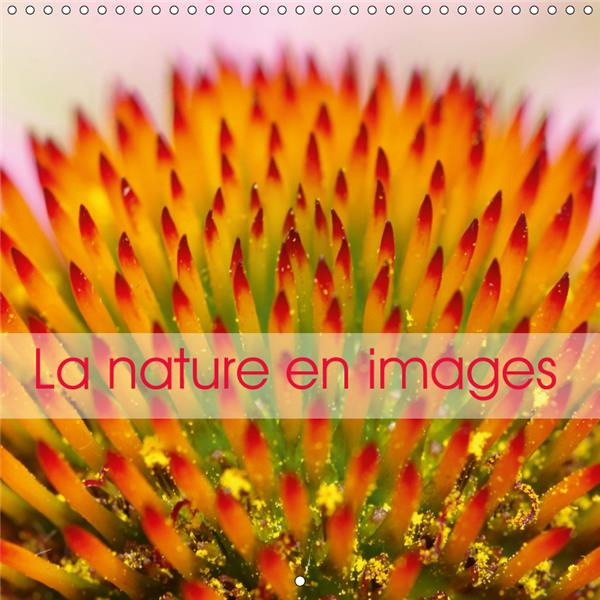 Emprunter LA NATURE EN IMAGES (CALENDRIER MURAL 2019 300 * 300 MM SQUARE) - LA NATURE AU FIL DES SAISONS, EN P livre