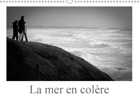 Emprunter LA MER EN COLERE (CALENDRIER MURAL 2019 DIN A3 HORIZONTAL) - LE MOUVEMENT DE LA MER ET DE LA TEMPETE livre