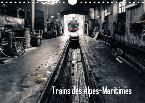 Emprunter TRAINS DES ALPES-MARTIMES (CALENDRIER MURAL 2019 DIN A4 HORIZONTAL) - MERVEILLES DES TRAINS A VAPEUR livre