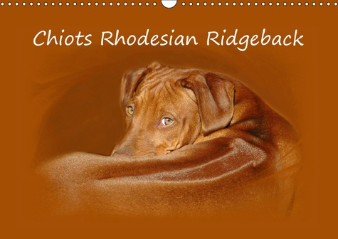 Emprunter CHIOTS RHODESIAN RIDGEBACK (CALENDRIER MURAL 2019 DIN A3 HORIZONTAL) - PHOTOGRAPHIES DE CHIOTS DE RH livre